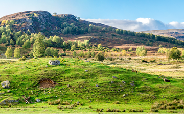 Crieff Hydro to takeover Highland Safaris and Red Deer Centre