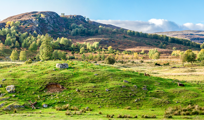 Crieff Hydro to takeover Highland Safaris and Red Deer Centre