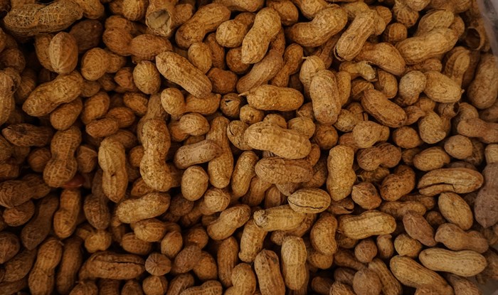 Staff at major restaurants including Pizza Hut and Nandos gave out false allergen information 