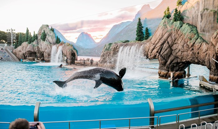 SeaWorld respond after Virgin Holidays announce they will stop selling tickets