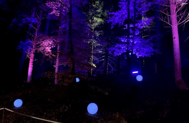 Enchanted Forest in Pitlochry raises £15k for local charities